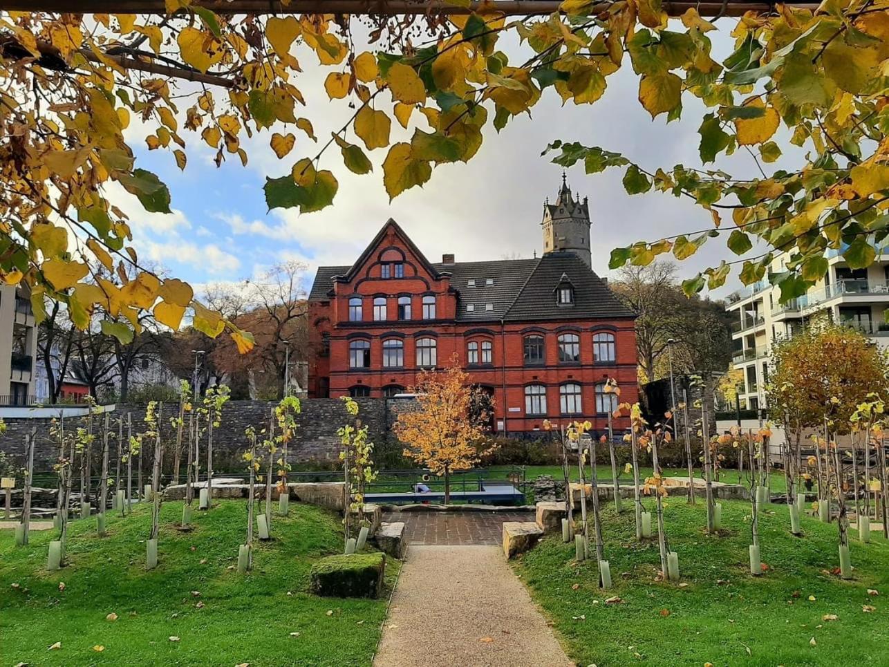 Back To School Appartement Andernach Buitenkant foto
