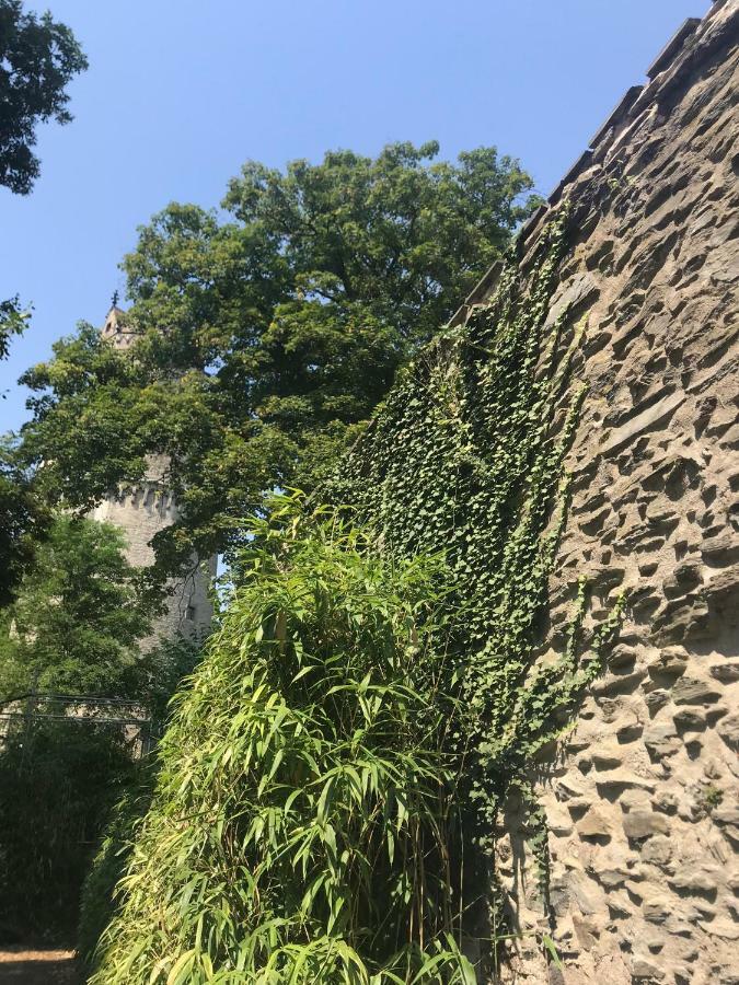 Back To School Appartement Andernach Buitenkant foto